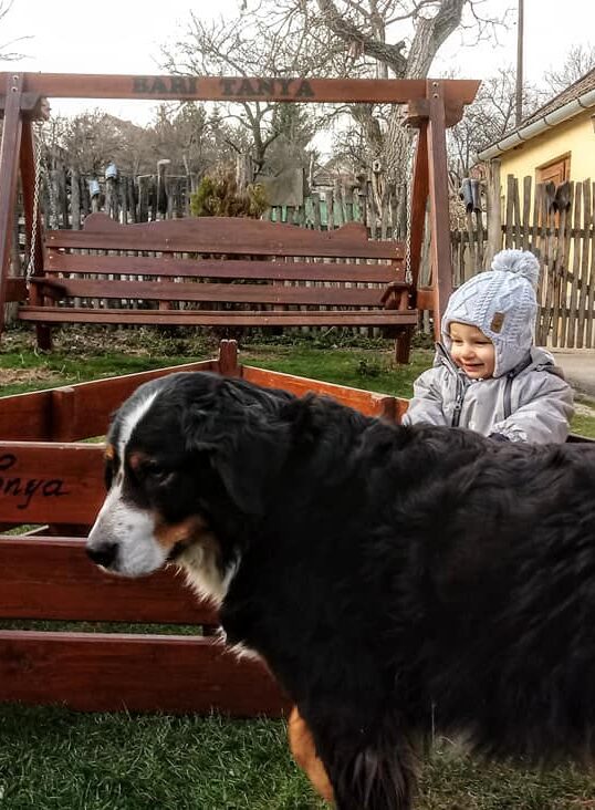 Kisnána, Mátra program, állatsimogató, lovaglás, szállás, tanyalátogatás, gyerekprogram