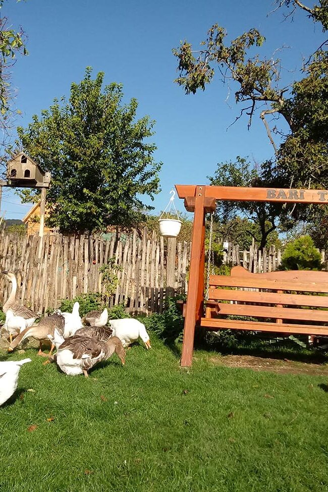 Kisnána, Mátra program, állatsimogató, lovaglás, szállás, tanyalátogatás, gyerekprogram