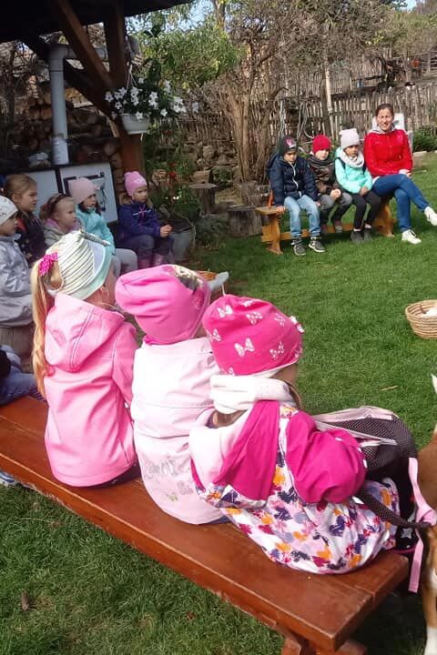 osztálykirándulás program állatsimogató Kisnána, Mátra