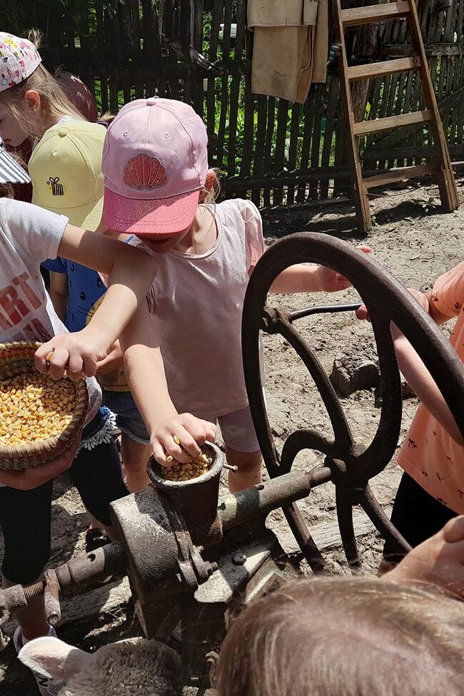 osztálykirándulás program állatsimogató Kisnána, Mátra