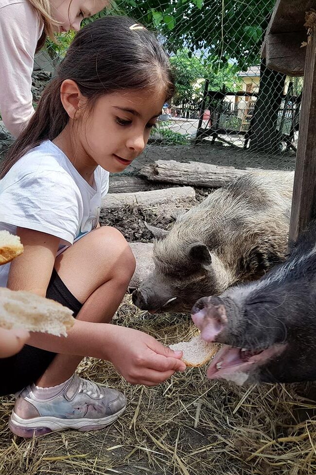 osztálykirándulás program állatsimogató Kisnána, Mátra