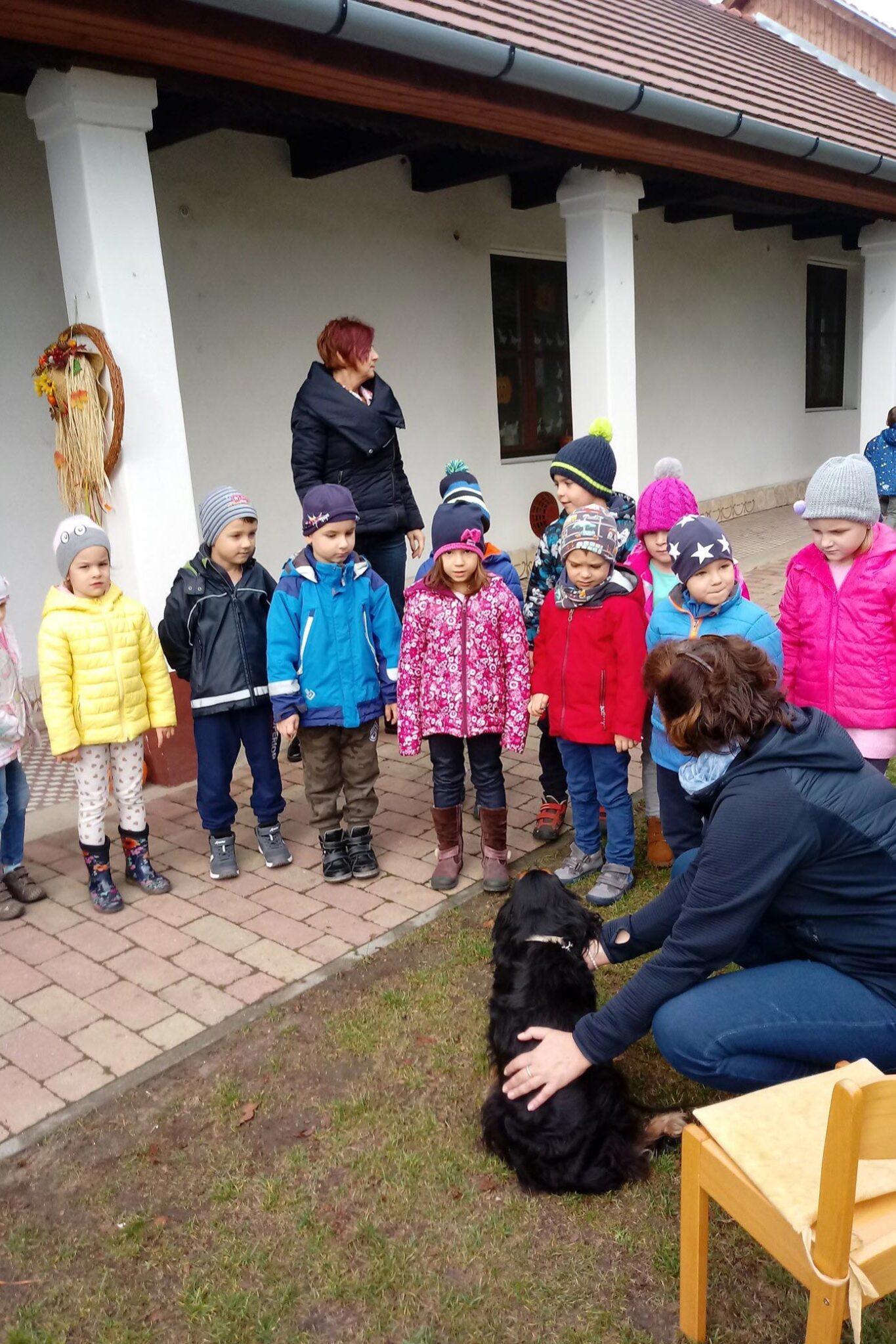 Környezetvédelmi, természetvédelmi előadások iskoláknk, óvodáknak, céges rendezvényekre