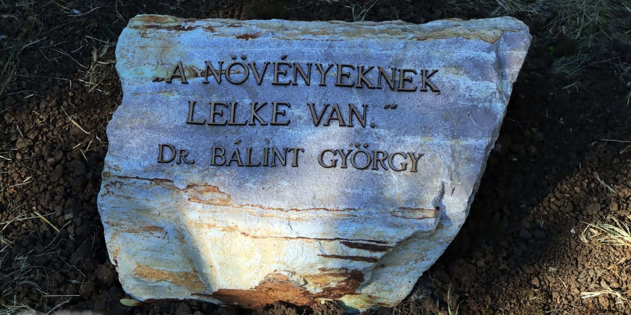 balint-gyorgy Bálint gazdára emlékeztünk